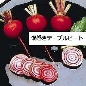 Amazon 渦巻きテーブルビート 種 12粒 野菜