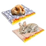 2 pièces Lits en Peluche pour Petits Animaux,30 * 20cm Hamster Tapis de lit,Tapis de Couchage en Peluche pour Petit Animal,Chaud Doux Polaire Lit Lapin,Convient aux Hamsters, Lapins, Chinchillas,etc.