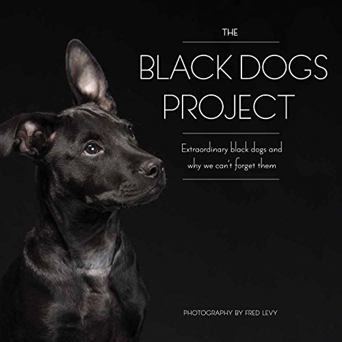 The Black Dogs Project: Extraordinary Black Dogs and Why We Can't Forget Them