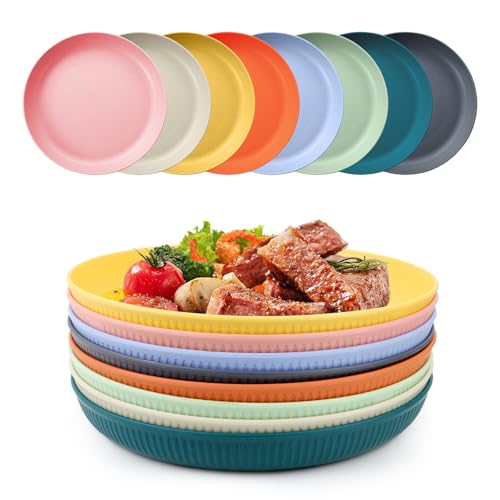YISIZES 8 Stück plastikbesteck Unzerbrechliches plastikteller Set Tiefe aus Kunststoff Camping teller melamin für Salat Pasta Party Zuhause Mikrowelle und Spülmaschinenfest 22.5cm