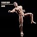 RoofWorld 1:12 Scale Male Action Figure AM116 Flexible Custom Muscle Male Figure Body 6inch PVC Miniature Figure Strong Dolls