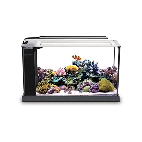 Fluval Sea Evo V Saltwater Fish Tank Aquarium Kit Cover