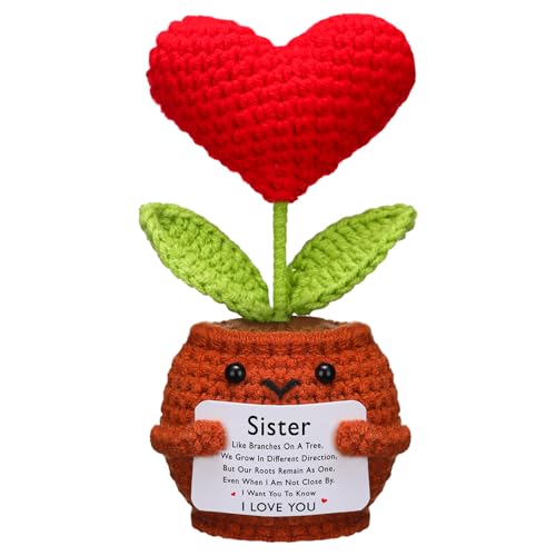 Wavwavw Crochet Doll Valentine Gift for Sister