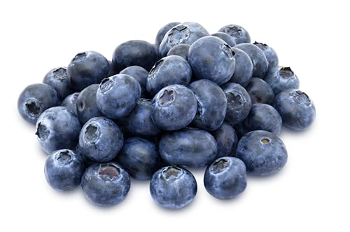 Fresh Blueberry Import 125g