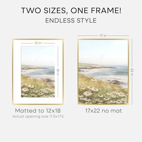 Image of Homeforia 17x22 Picture Frame Gold, High End Metal 17x22 Poster Frames with Mat 12x18 Photo, 17 x 22 Gold Frame Matted to 12 by 18 Print, 22by17 Thin Hanging Frames, Tempered Glass, Wall Kit, Set of 2