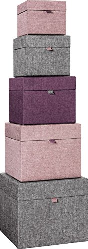 Preisvergleich Produktbild stewo Geschenkkarton Pure 5 tlg. Würfel sortiert