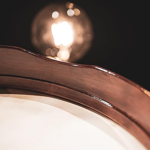 Meinl Percussion 12" Hand Drum with Natural Goat Skin Head — NOT Made in China — Hardwood Frame in Antique Brown Finish, 2-Year Warranty, (HD12AB)