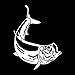 PJYGNK Sticker de Carro 11,3 * 15,2 CM Tarpon Fishing Pegatinas de Coche Personalizadas Calcomanías de Vinilo Negro Plata C2-0591