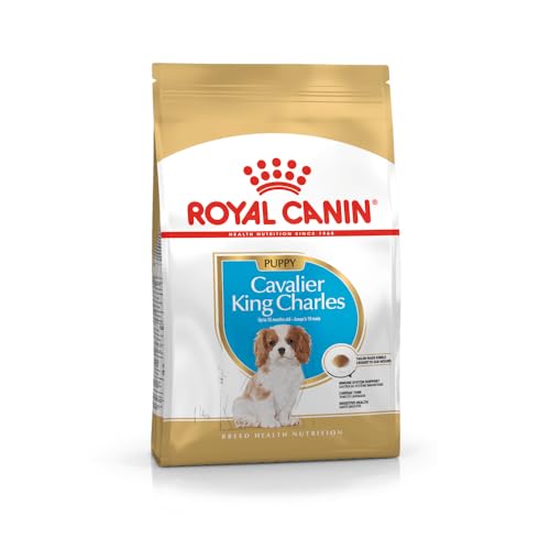 Royal Canin Cavalier King Charles Puppy | 1,5 kg | Trockenfutter für Welpen | Kann die natürlichen Abwehrkräfte und Herzgesundheit unterstützen | Könnte Verdauung fördern