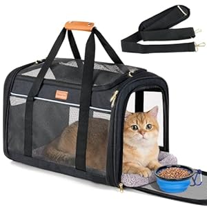 Morpilot Katzentransportbox für große Katzen & Welpen bis 12 kg, Transportbox Katze mit 4-seitigem Mesh, atmungsaktiv & komfortabel, Hundebox mit doppelseitiger weicher Unterlage und klappbarem Napf