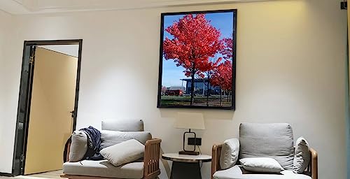 11x17 Black Picture Frame for Wall Display, 1-Pack