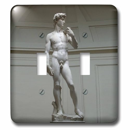 Interrupteur David Michelangelo 3dRose lsp_602_2 double bascule pour déco murale