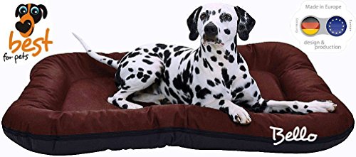 4myBaby GmbH Best for Pets Orthopädisches Hundebett Bello 5 Große Hundekissen Ortho-Medic VISCO Kissen (L-70x60 cm, Apfel-OLIVGRÜN)