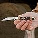 Old Timer 12OTCP Pal Traditional Folding Pocket Knife with 2.2in High Carbon Stainless Steel Blade, Sawcut Handle, and Convenient Size for EDC, Whittling, Camping, Hunting, General Use, and Outdoors, 5.1 inch