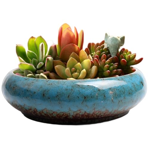 Pot de fleurs bol de lotus bleu céramique pot de bonsaï 19cm