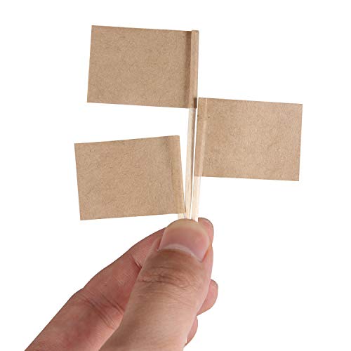 Senkary 100 Pack Blank Toothpick Flags Kraft Paper Flag Picks Cheese Markers For Cupcake, Food, Fruit, Party Decorations #TOP3