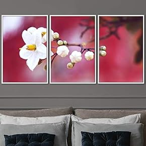 signwin 3 Piece Framed Canvas Wall Art Bohemian...