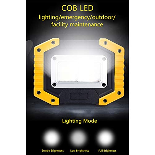 beyonds LED Camping Lights Outdoor Camp Lights 30 W Waterproof Tent Lights, Fishing Lights, Portable Lights, site Lights, Third Gear dimming, US,Europe Multi-National Platform simultaneous Sales (C)