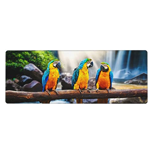Tapis de souris de jeu perroquet mignon XXL pour égayer votre espace de travail