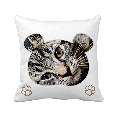 Housse de coussin chat rayé carré pour décoration lit et fauteuil - 2