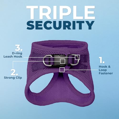 Image of Voyager Step-in Pet Harness - All Weather Mesh, Adjustable Step in Harness for Cats and Dogs by Best Pet Supplies - 307S Purple, XXS