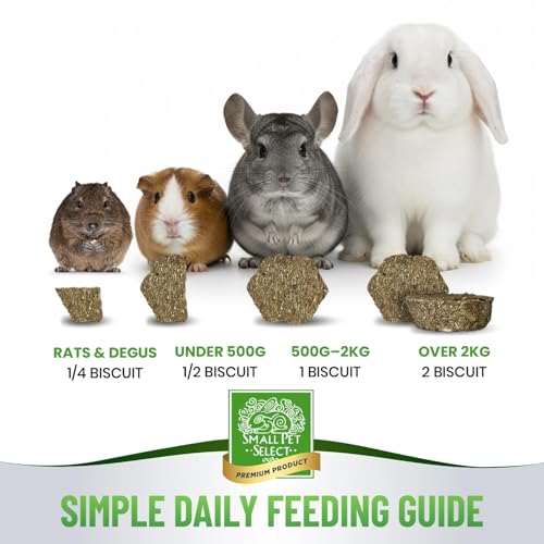 image for Small Pet Select - Select Care Multivitamin Support Supplement, Natura