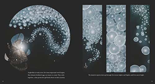 Anglerfish: The Seadevil of the Deep - Image 4