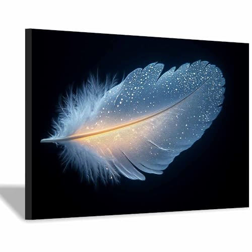 YITOEO(イトエオ) 絵画 黒 アートパネル 北欧 キャンバス 抽象的な アートパネル き取り付けやすい壁アート壁飾り 写真 ウォールア 新築飾り インテリア 玄関 浴室(クリア 6)-60x80cm 額入り