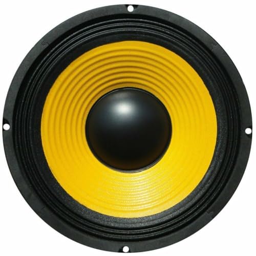 1 Web W-064 Tieftöner mit mittlerem Bass, 16,50 cm, 165 mm, 6,5 Zoll Durchmesser, 50 Watt RMS, 100 Watt max., Impedanz 4 Ohm, Empfindlichkeit 92 dB, für Autos, 1 Stück