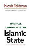 The Fall and Rise of the Islamic State