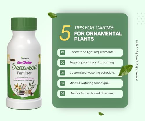 Image of Greenedge EcoChoice Liquid Seaweed Fertilizer (1 L) Concentrate for Flowering, Fruiting & Complete Soil Nourishment