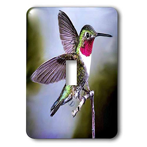 3dRose Hummingbird, Bird single toggle switch