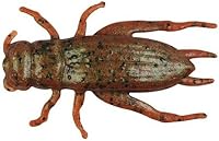 Vista 2 de Cebo de pesca de grillo vivo Gulp Alive