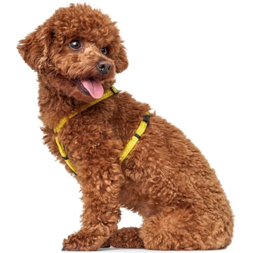 HUNTER TRIPOLI Hundegeschirr, kleine Hunde, Nylon, reflektierend, robust, XS-S, gelb
