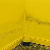  God Repainted Everything