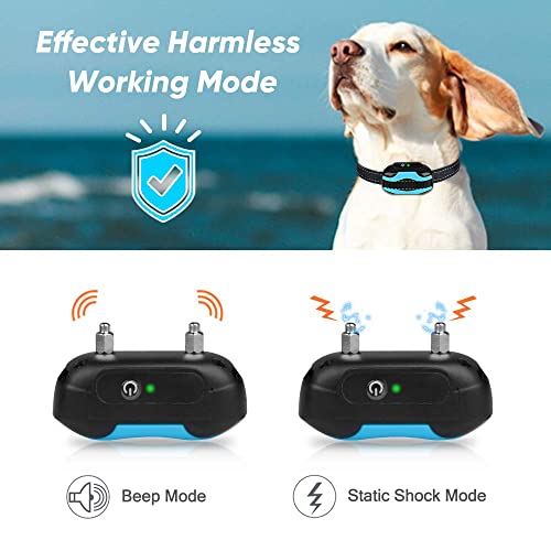 The 25 Best Wireless Electric Dog Fences of 2024 [Verified] Cherry Picks