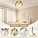 Gold Ceiling Light Fixtures, 14.17'' Flush Mount Modern Ceiling Lights with Clear Hammered Glass Shade, 3-Light Drum Chandelier Lighting Fixture for Kitchen Bedroom Entryway Bathroom Hallway Laundry