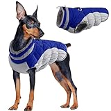 ✨【PER CANI DI TUTTE LE RAZZE】✨- 7 taglie disponibili: XS, S, M, L, XL, 2XL, 3XL, adatte a cani di piccola, media e grande taglia, come Teddy, Chihuahua, Bassotto, Barboncino, Bulldog, Beagle, Schnauzer, Doberman, Labrador, Golden Retriever, ecc. Scegli in base al busto del cane, alla lunghezza della schiena e se il tuo cane è forte o folto, seleziona una taglia in più.