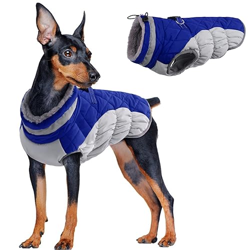 Warm Dog Coat