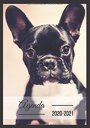 Télécharger Agenda Scolaire A5: Chien Chiot Animaux, Agenda en Français Journalier Quotidien A5 livre En ligne