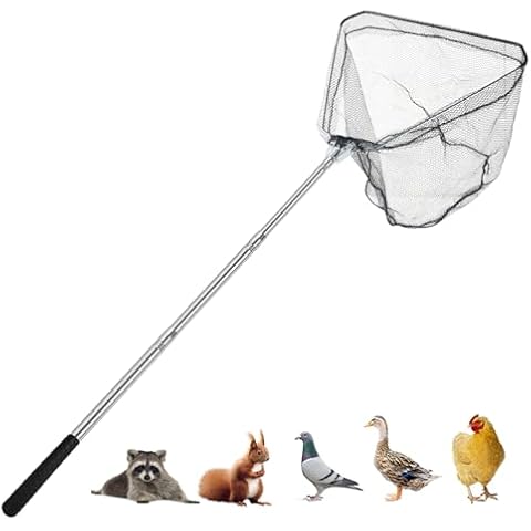 Smarkey Chicken Catching Net, Animal net with Extendable 46 Inch Stainless Steel Pole, Chicken Net for Chickens, Ducks, Birds Cats, Dogs，Fishnet, Chicken Catcher for Poultry Supplies Cover