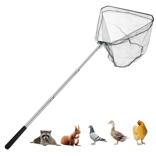 Smarkey Filet de capture de poulet, filet animal avec poteau extensible en acier inoxydable de 117 cm, filet à poulet pour poulets, canards, oiseaux, chats, chiens, résille, attrape-poulet pour
