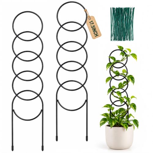 17.5 inch Small Trellis for Potted Plants, Metal Plant Trellis Indoor