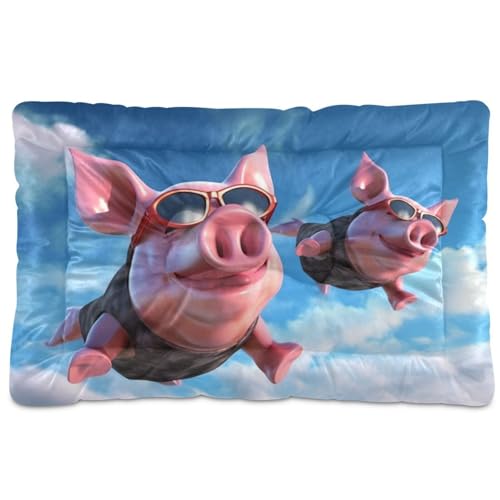 Fuauuyl Pig Fly in The Sky - Alfombrilla suave para cama de perro, lavable a máquina, con parte inferior antideslizante para dormir de perro, 61 x 45 cm