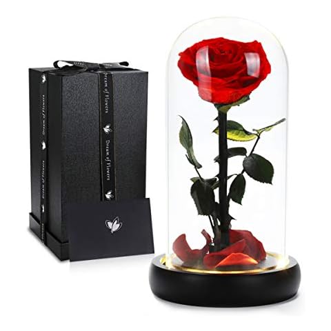 Dream of Flowers Valentines Day Gifts for Her, Beauty and The Beast Rose,Preserved Real Rose in Glass Dome on Black Wood with Warm Light,Valentines Rose Gifts for Women Wife Mom Girlfriend,Birthday Cover