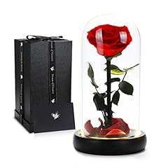 Led Rose