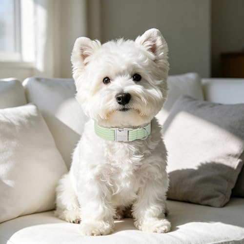 Image of ARING PET Cute Dog Collar for Puppy Small Medium Large Dogs-Green Stripe M | Cute Male Heavy Duty Pet Collars with Metal Buckle for XS S M L XL Dogs, for Beach Trips Picnic Daily Outdoor Stroll