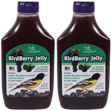 Songbird Essentials 20 Ounce BirdBerry Jelly Squeeze Bottle Bird Feeder Jelly, Grape and BlackBerry Jelly Made Just for Birds [Pack of 2]