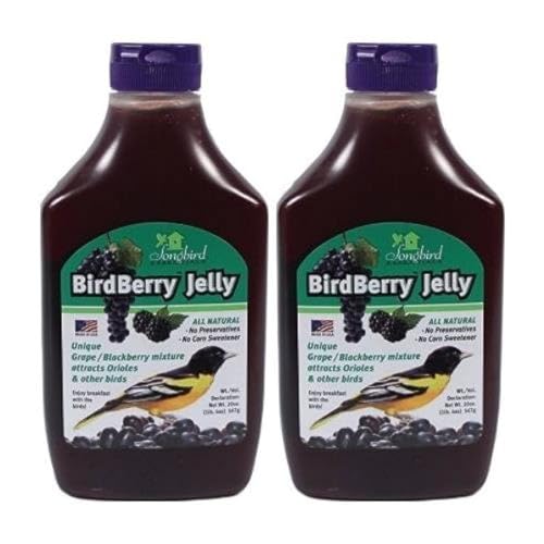 Songbird Essentials 20 Ounce BirdBerry Jelly Squeeze Bottle Bird Feeder Jelly, Grape and BlackBerry Jelly Made Just for Birds [Pack of 2]