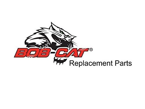4162583 Bobcat/RANSOMES Belt Replacement